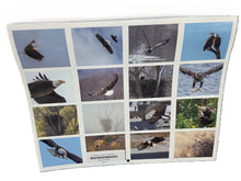 Load image into Gallery viewer, Eagles of Red Wing 2027 Wall Calendar
