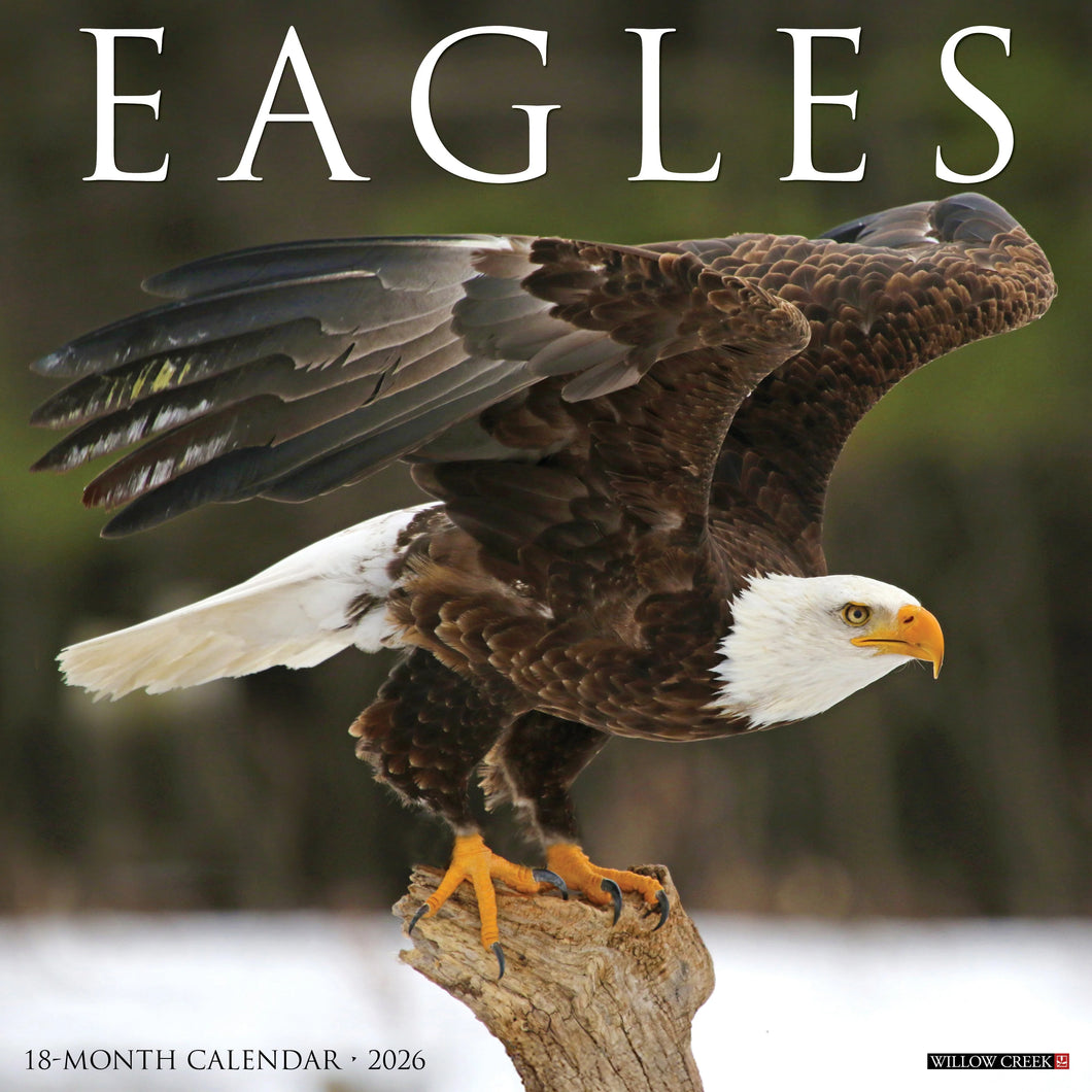 Eagles 2026 Wall Calendar