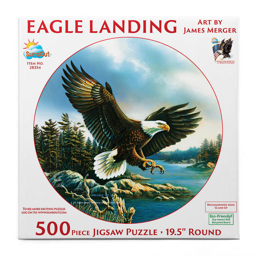 Puzzle-Eagle Landing