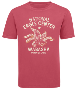 T-shirt: America Eagle