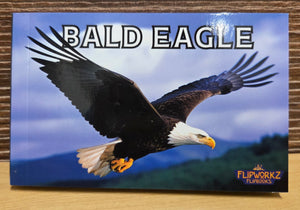 Book- Flipbooks