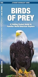 Pocket Guide -  Birds of Prey