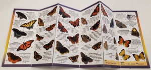 Pocket Guide-Common Butterflies of the Midwest