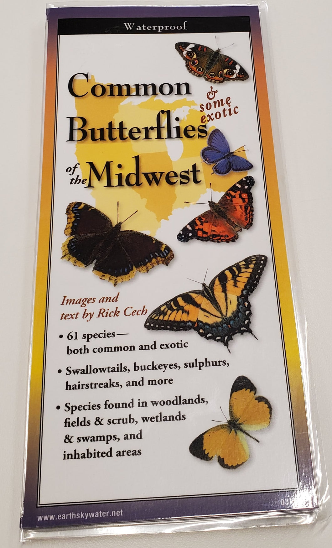 Pocket Guide-Common Butterflies of the Midwest