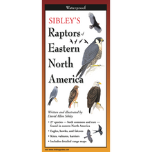 Load image into Gallery viewer, Pocket Guide: Raptors of Eastern North America
