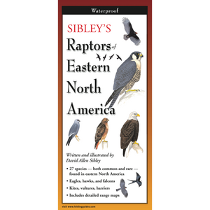 Pocket Guide: Raptors of Eastern North America