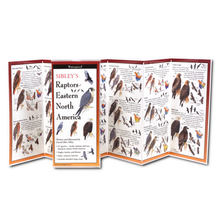 Load image into Gallery viewer, Pocket Guide: Raptors of Eastern North America
