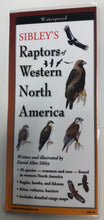 Load image into Gallery viewer, Pocket Guide - Raptors of Western North America
