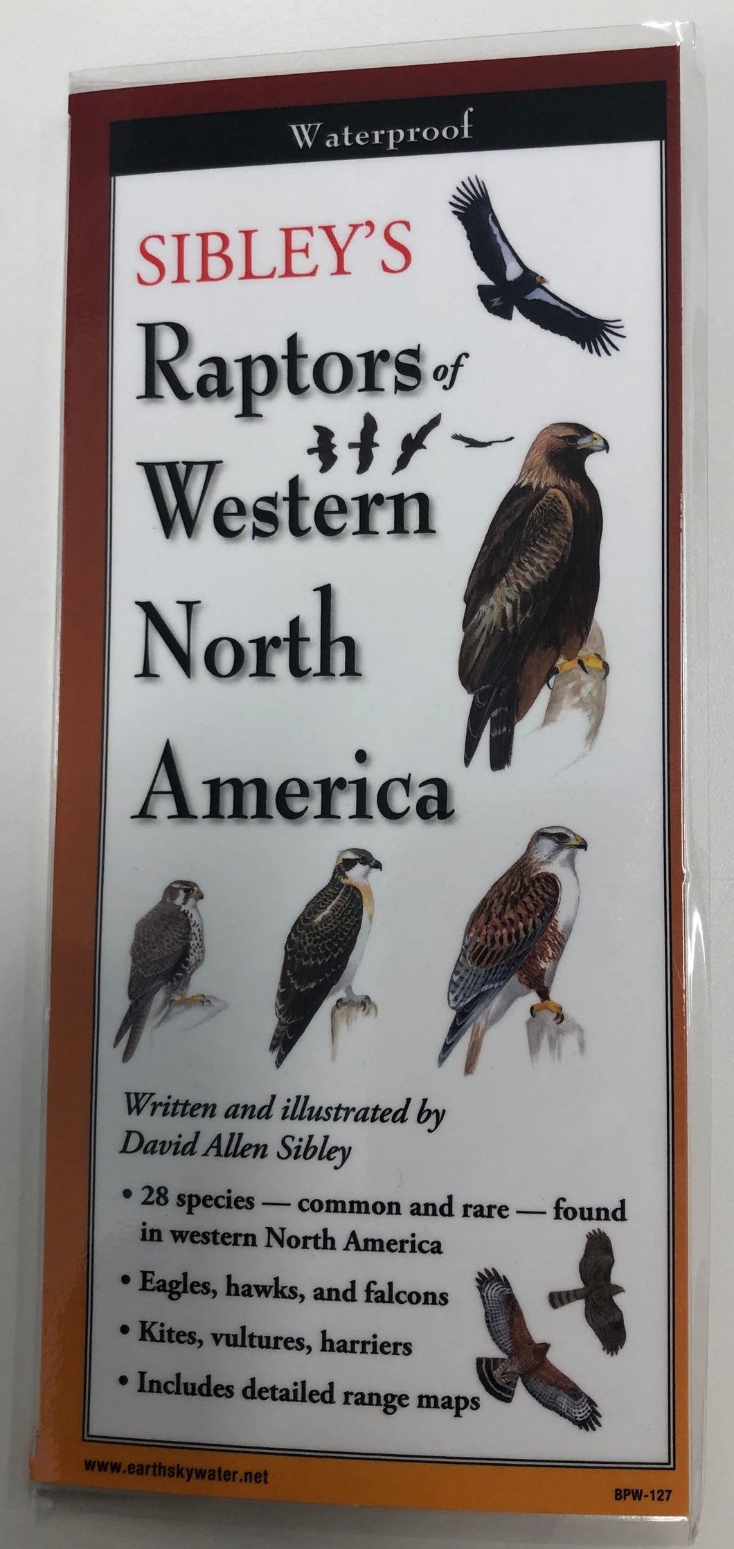 Pocket Guide - Raptors of Western North America