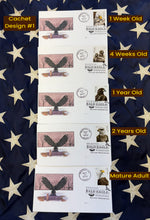 Load image into Gallery viewer, Eagle Lifecycle 1-Stamp Cachets
