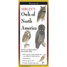 Load image into Gallery viewer, Pocket Guide: Owls of North America
