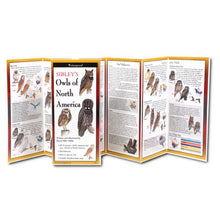 Load image into Gallery viewer, Pocket Guide: Owls of North America
