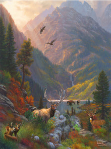 Puzzle: Majestic Solitude