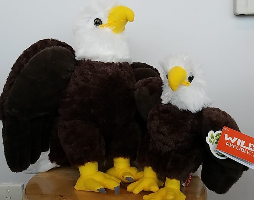 Plush Bald Eagle - Main Image