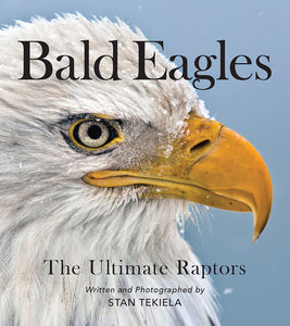 Book - Bald Eagles the Ultimate Raptors