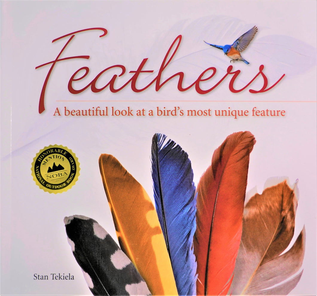 Book - Feathers