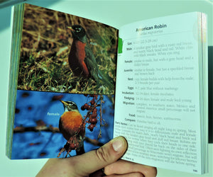 Book - Birds of Wisconsin