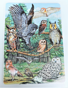 Puzzle - North American Owls