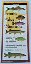 Load image into Gallery viewer, Pocket Guide - Favorite Fishes of Minnesota
