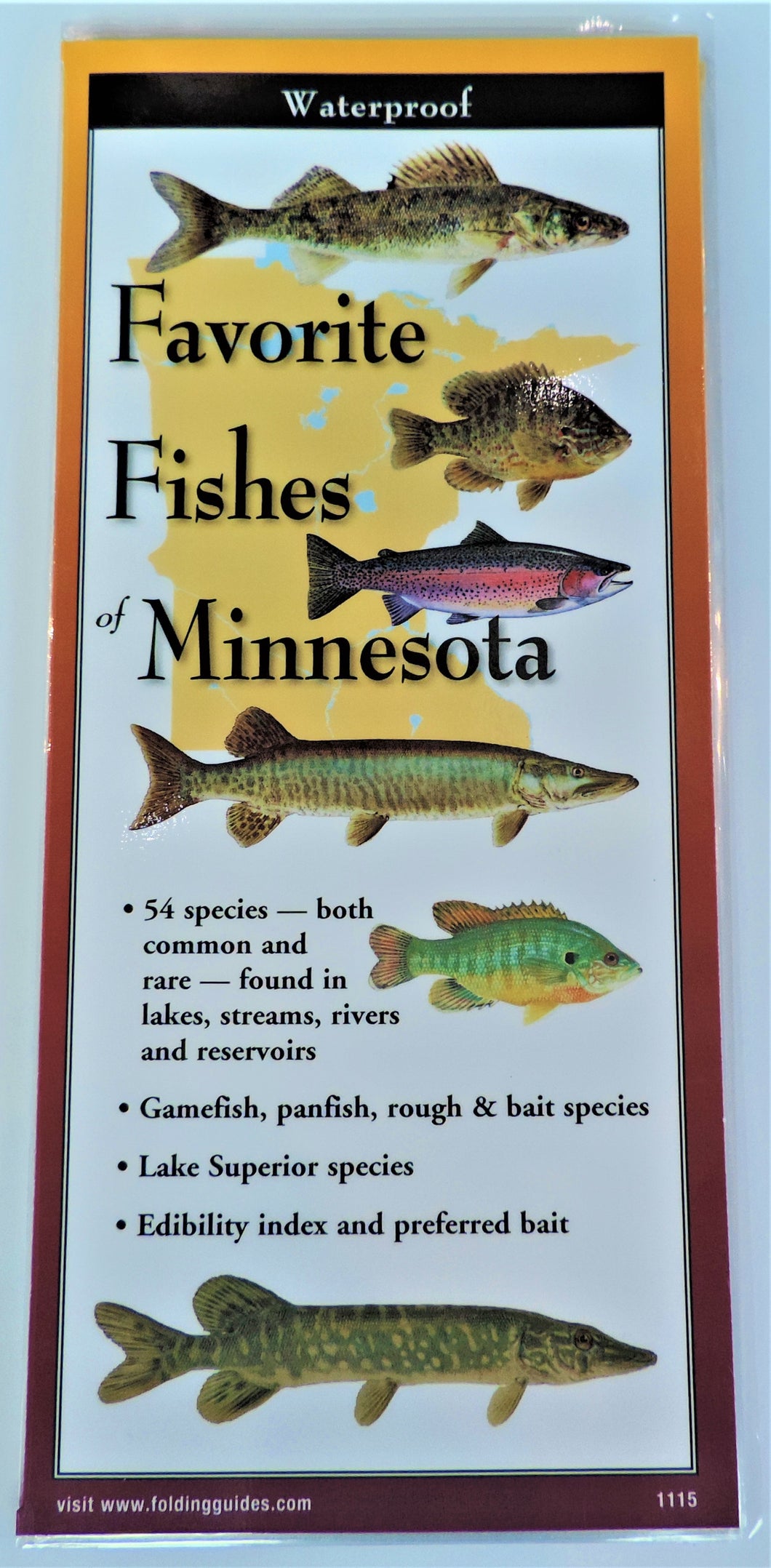 Pocket Guide - Favorite Fishes of Minnesota