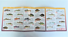 Load image into Gallery viewer, Pocket Guide - Favorite Fishes of Minnesota
