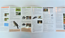 Load image into Gallery viewer, Pocket Guide - Birding 101
