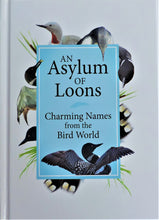 Load image into Gallery viewer, Book - An Asylum of Loons
