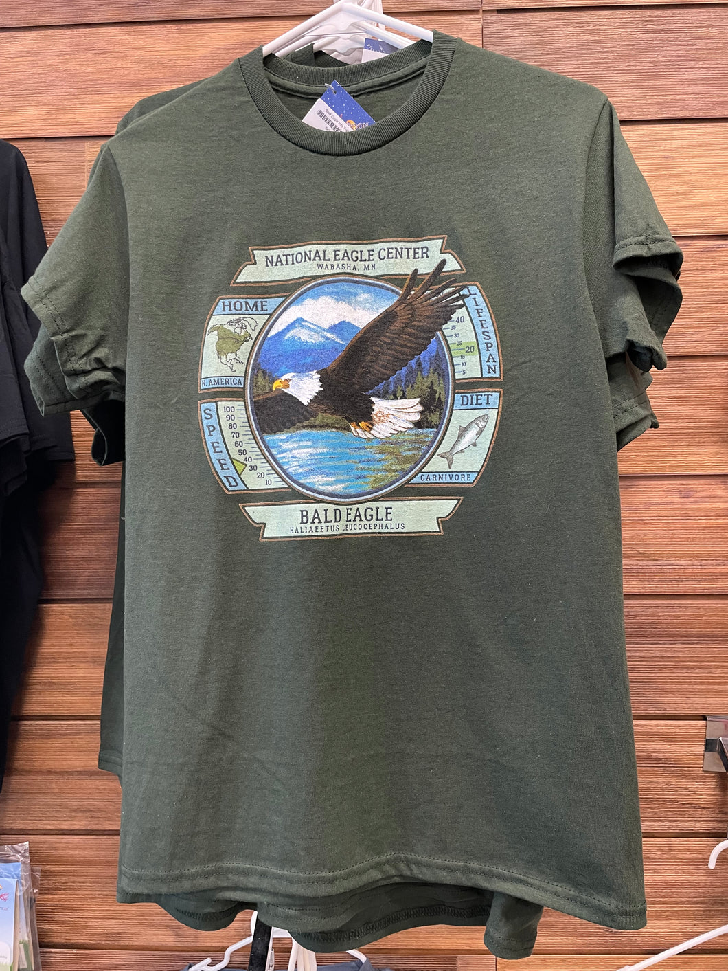 T- Shirt Bald Eagle Info