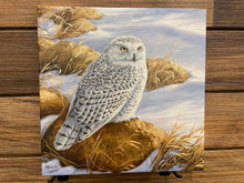 Load image into Gallery viewer, Wild Wings Print - Stony Outlook Snowy Owl
