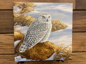 Wild Wings Print - Stony Outlook Snowy Owl