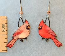 Load image into Gallery viewer, Jewelry - Earrings Jabebo Northern Cardinal
