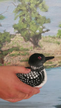 Load and play video in Gallery viewer, Plush - Audubon Common Loon with Sound
